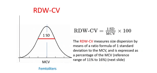 What RDW CV Measures